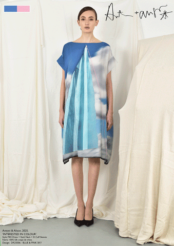 BLUE & PINK SKY Dress