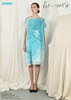 PLASTIC & WATER Dress (Blue)