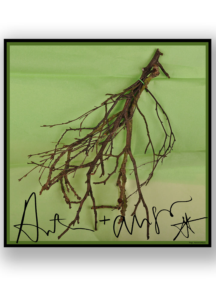 Twig